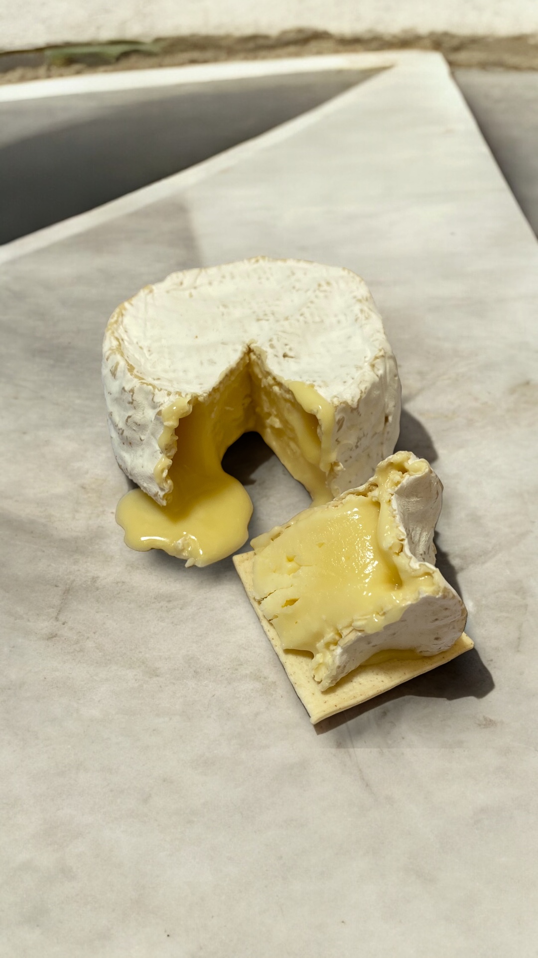 Queso Camembert Artesanal