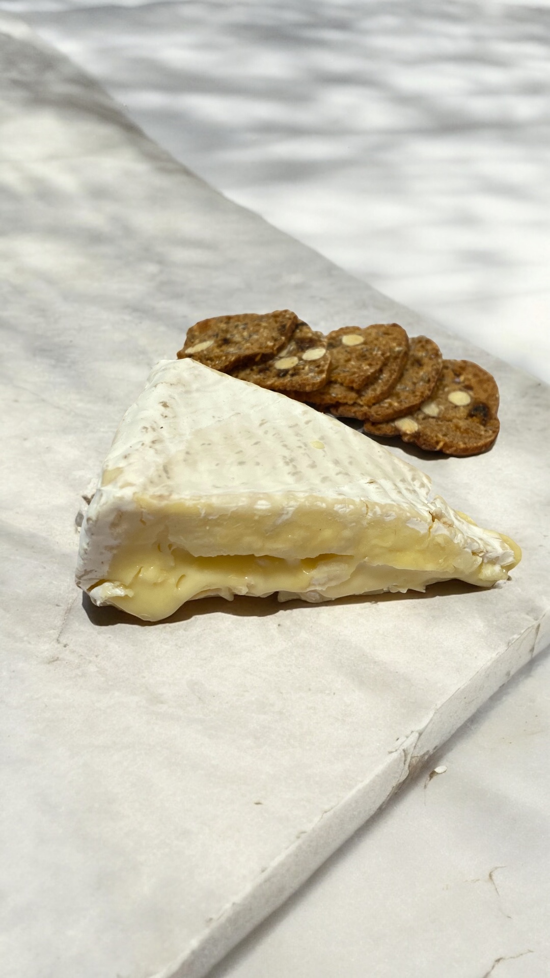 Queso Brie Artesanal